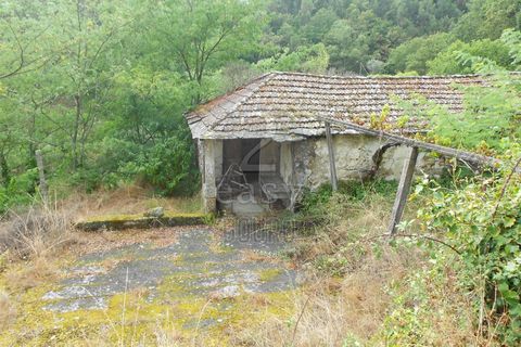 Villa i Penafiel, Porto, Penafiel - € 100.000 | Ref: 511521017 - foto 4