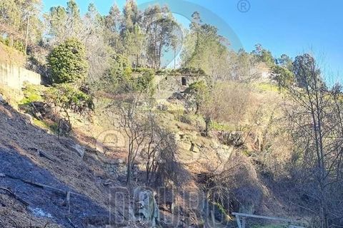 Villa i Penafiel, Porto, Penafiel - € 100.000 | Ref: 511521017 - foto 8