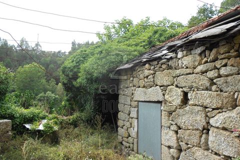 Villa i Penafiel, Porto, Penafiel - € 100.000 | Ref: 511521017 - foto 22