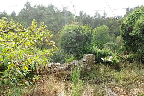 Villa i Penafiel, Porto, Penafiel - € 100.000 | Ref: 511521017 - foto 23