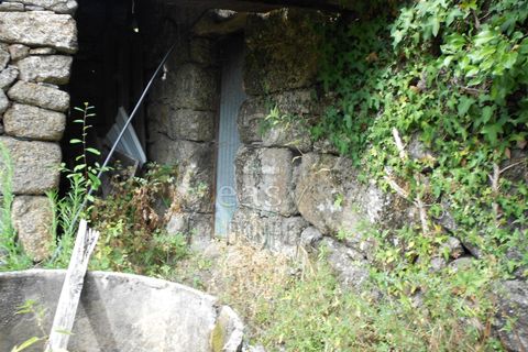 Villa i Penafiel, Porto, Penafiel - € 100.000 | Ref: 511521017 - foto 24