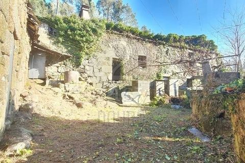Villa i Penafiel, Porto, Penafiel - € 100.000 | Ref: 511521017 - foto 3