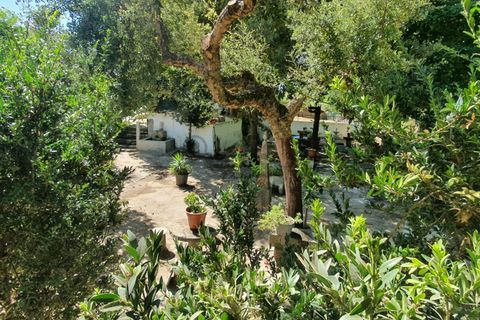 Helårsgrund i Oeiras, Lisbon, Oeiras - € 9.800.000 | Ref: 611511002 - foto 8