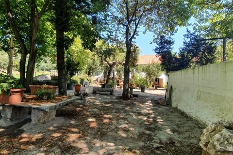 Helårsgrund i Oeiras, Lisbon, Oeiras - € 9.800.000 | Ref: 611511002 - foto 6
