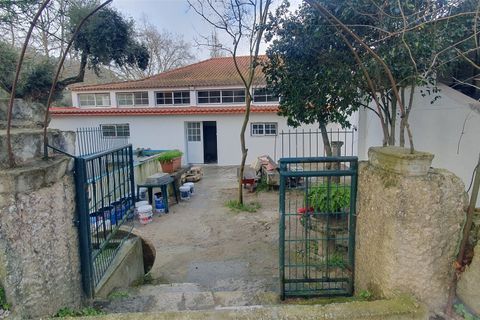 Helårsgrund i Oeiras, Lisbon, Oeiras - € 9.800.000 | Ref: 611511002 - foto 3