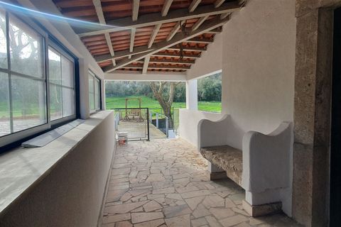 Helårsgrund i Oeiras, Lisbon, Oeiras - € 9.800.000 | Ref: 611511002 - foto 16