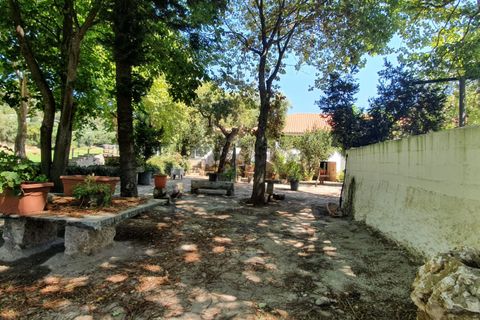 Terra a Oeiras, Lisbon, Oeiras - € 9.000/mes | Ref: 611511003 - foto 2