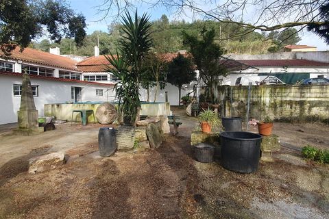 Terra a Oeiras, Lisbon, Oeiras - € 9.000/mes | Ref: 611511003 - foto 11