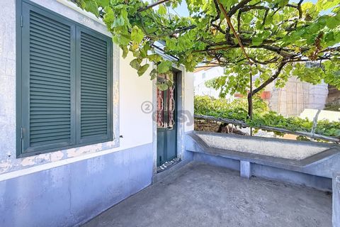 Villa i Calheta, Madeira, Calheta - € 365.000 | Ref: 641511001 - foto 24