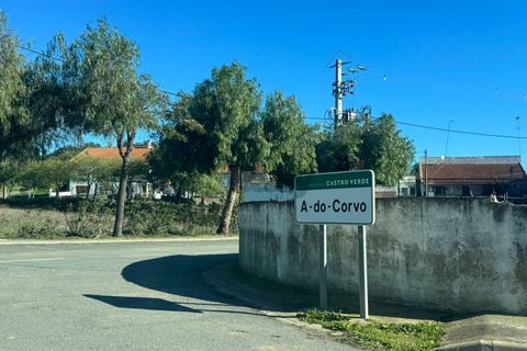 Terra a Castro Verde, Beja, Castro Verde - € 17.000 | Ref: 281671026 - foto 17
