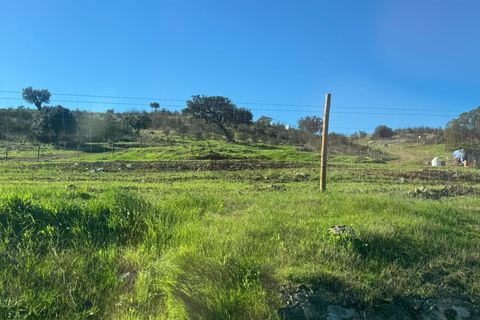 Terra a Castro Verde, Beja, Castro Verde - € 17.000 | Ref: 281671026 - foto 18