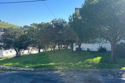 Terra a Castro Verde, Beja, Castro Verde - € 17.000 | Ref: 281671027 - foto 15