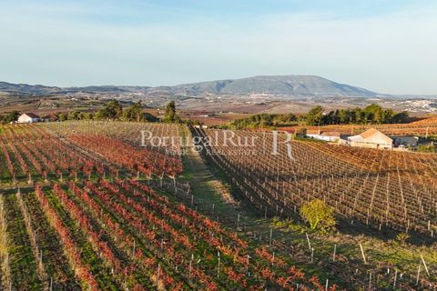 Farm i Alenquer, Lisbon, Alenquer - € 1.980.000 | Ref: FG355 - foto 1