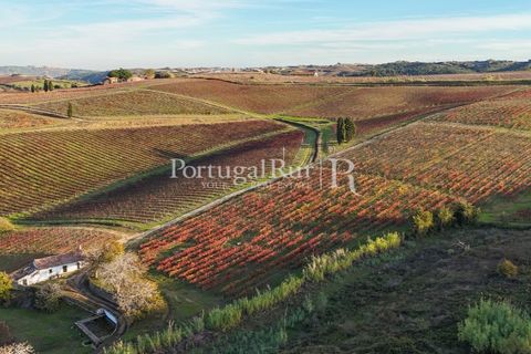 Farm i Alenquer, Lisbon, Alenquer - € 1.980.000 | Ref: FG355 - foto 3