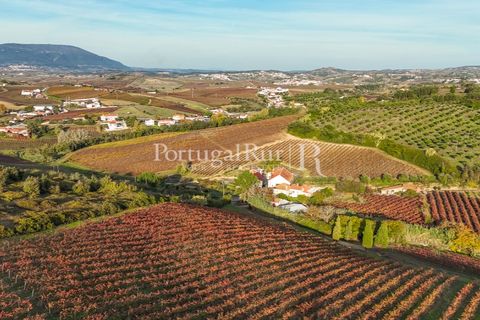 Farm i Alenquer, Lisbon, Alenquer - € 1.980.000 | Ref: FG355 - foto 4