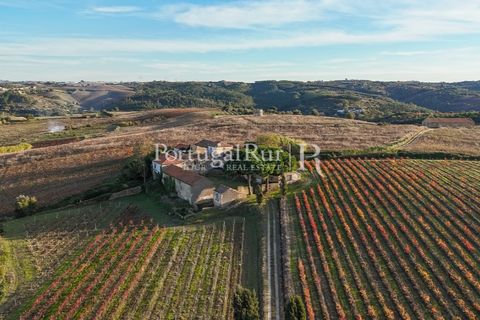 Farm i Alenquer, Lisbon, Alenquer - € 1.980.000 | Ref: FG355 - foto 6