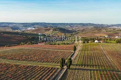 Farm i Alenquer, Lisbon, Alenquer - € 1.980.000 | Ref: FG355 - foto 9
