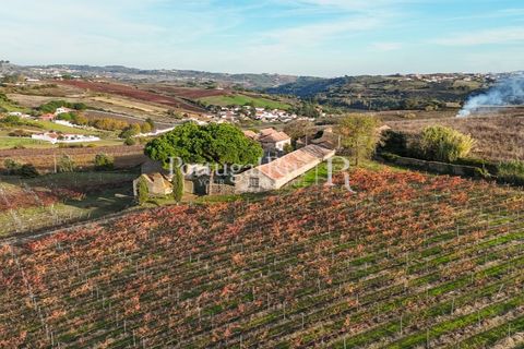 Farm i Alenquer, Lisbon, Alenquer - € 1.980.000 | Ref: FG355 - foto 11