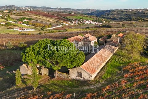 Farm i Alenquer, Lisbon, Alenquer - € 1.980.000 | Ref: FG355 - foto 12