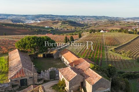 Farm i Alenquer, Lisbon, Alenquer - € 1.980.000 | Ref: FG355 - foto 13