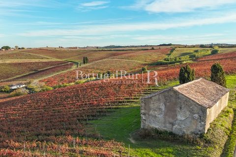Farm i Alenquer, Lisbon, Alenquer - € 1.980.000 | Ref: FG355 - foto 14