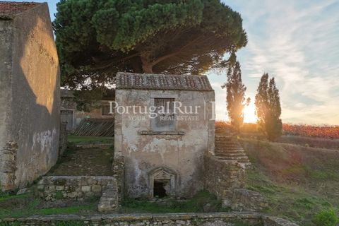 Farm i Alenquer, Lisbon, Alenquer - € 1.980.000 | Ref: FG355 - foto 16