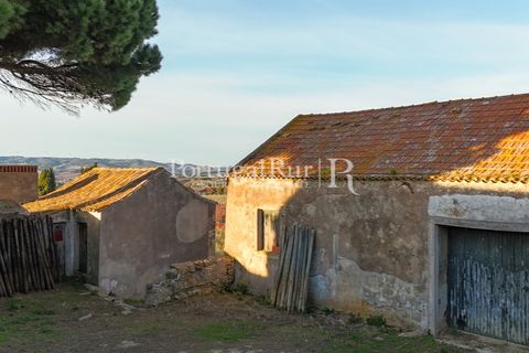 Farm i Alenquer, Lisbon, Alenquer - € 1.980.000 | Ref: FG355 - foto 17