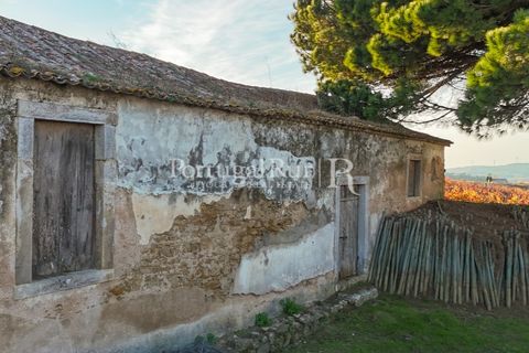 Farm i Alenquer, Lisbon, Alenquer - € 1.980.000 | Ref: FG355 - foto 18