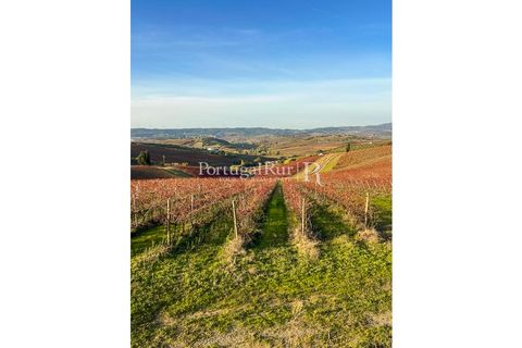 Farm i Alenquer, Lisbon, Alenquer - € 1.980.000 | Ref: FG355 - foto 22