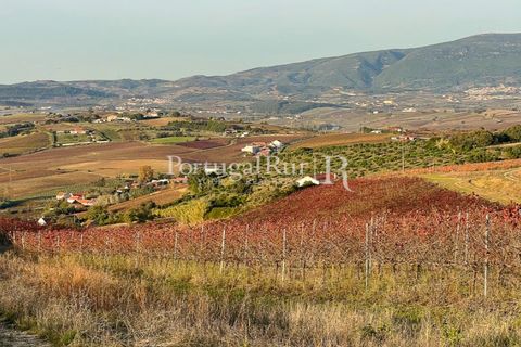 Farm i Alenquer, Lisbon, Alenquer - € 1.980.000 | Ref: FG355 - foto 23