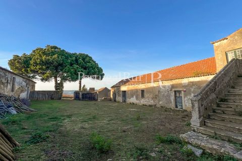 Farm i Alenquer, Lisbon, Alenquer - € 1.980.000 | Ref: FG355 - foto 24