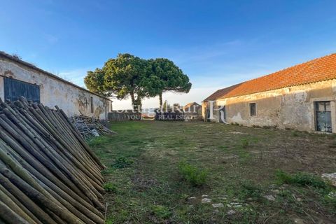Farm i Alenquer, Lisbon, Alenquer - € 1.980.000 | Ref: FG355 - foto 25