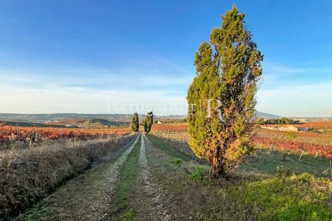 Farm i Alenquer, Lisbon, Alenquer - € 1.980.000 | Ref: FG355 - foto 35