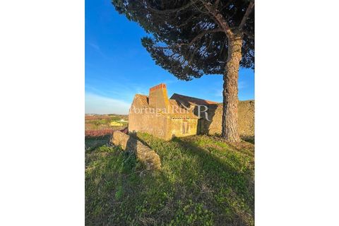 Farm i Alenquer, Lisbon, Alenquer - € 1.980.000 | Ref: FG355 - foto 36