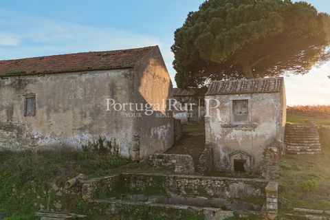 Farm i Alenquer, Lisbon, Alenquer - € 1.980.000 | Ref: FG355 - foto 38