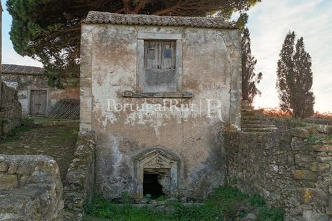 Farm i Alenquer, Lisbon, Alenquer - € 1.980.000 | Ref: FG355 - foto 39