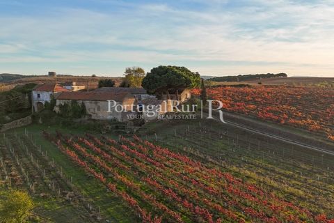 Farm i Alenquer, Lisbon, Alenquer - € 1.980.000 | Ref: FG355 - foto 42