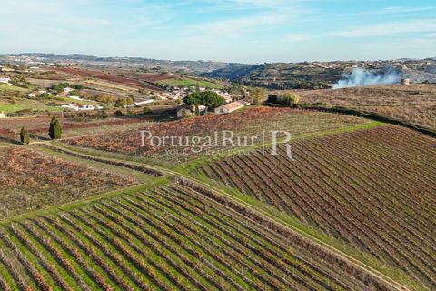 Farm i Alenquer, Lisbon, Alenquer - € 1.980.000 | Ref: FG355 - foto 47