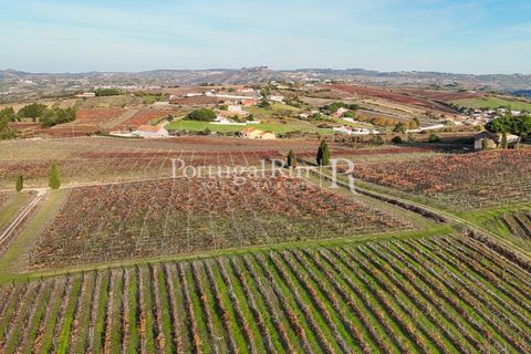Farm i Alenquer, Lisbon, Alenquer - € 1.980.000 | Ref: FG355 - foto 48