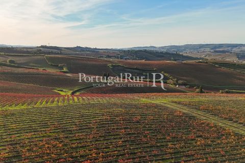 Farm i Alenquer, Lisbon, Alenquer - € 1.980.000 | Ref: FG355 - foto 49