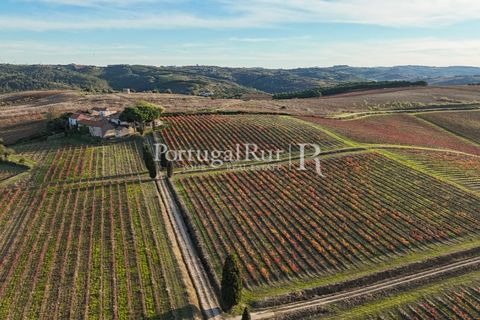 Farm i Alenquer, Lisbon, Alenquer - € 1.980.000 | Ref: FG355 - foto 50