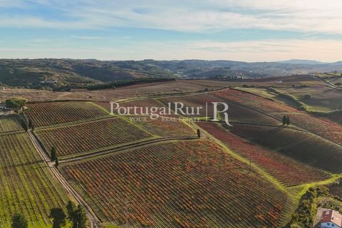 Farm i Alenquer, Lisbon, Alenquer - € 1.980.000 | Ref: FG355 - foto 2