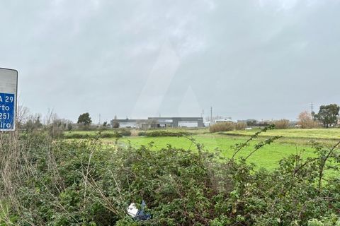 Helårsgrund i Ovar, Aveiro, Ovar - € 75.000 | Ref: 1012418/26 GL - foto 3
