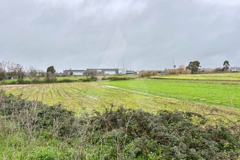 Helårsgrund i Ovar, Aveiro, Ovar - € 75.000 | Ref: 1012418/26 GL - foto 5