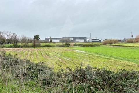 Helårsgrund i Ovar, Aveiro, Ovar - € 75.000 | Ref: 1012418/26 GL - foto 6