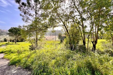 Villa a Buarcos, Coimbra, Buarcos - € 595.000 | Ref: HR 1926 - foto 14