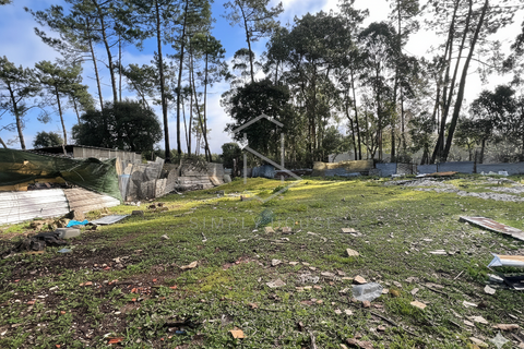 Terra a Turquel, Leiria, Turquel - € 67.500 | Ref: 712101-190 - foto 3