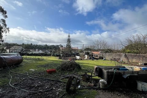 Terra a Turquel, Leiria, Turquel - € 67.500 | Ref: 712101-190 - foto 4