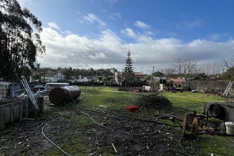 Terra a Turquel, Leiria, Turquel - € 67.500 | Ref: 712101-190 - foto 6