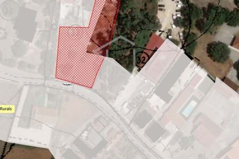 Terra a Turquel, Leiria, Turquel - € 67.500 | Ref: 712101-190 - foto 10